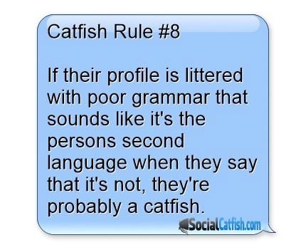 Cafish Rule #8 - If their profile is littered with bad grammar